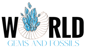World Gems And Fossils logo