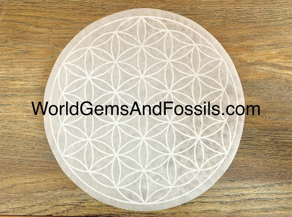 Selenite Flower Of Life Plate Circle 6" Box/40Pcs
