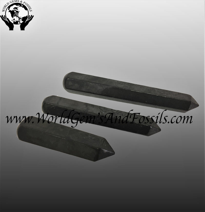 3" Shungite Faceted Point Wands