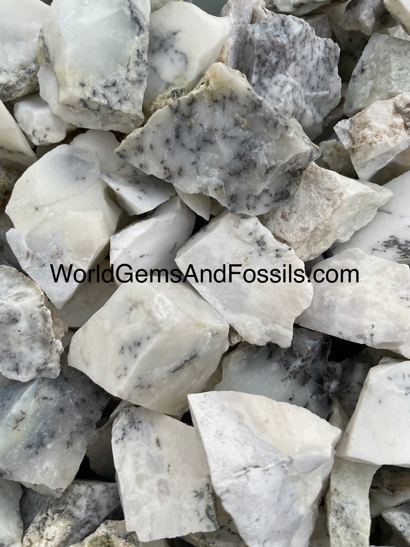 Dendritic Agate Rough Stone 1 lb