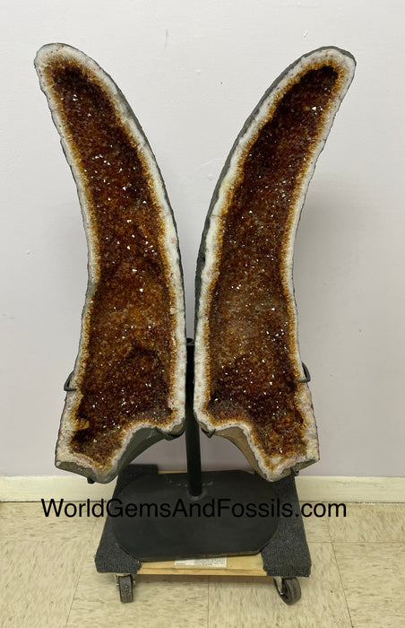 Citrine Butterfly 39” #1