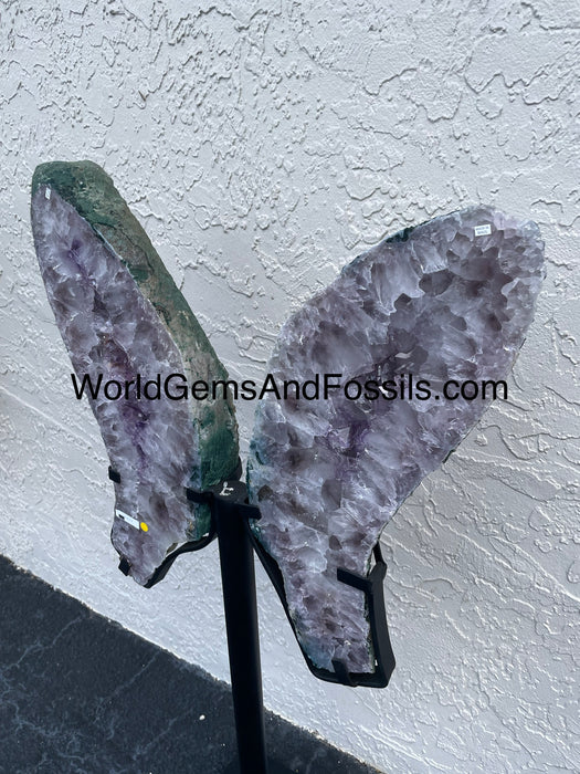 Amethyst Butterfly #3 39” x 20.5”