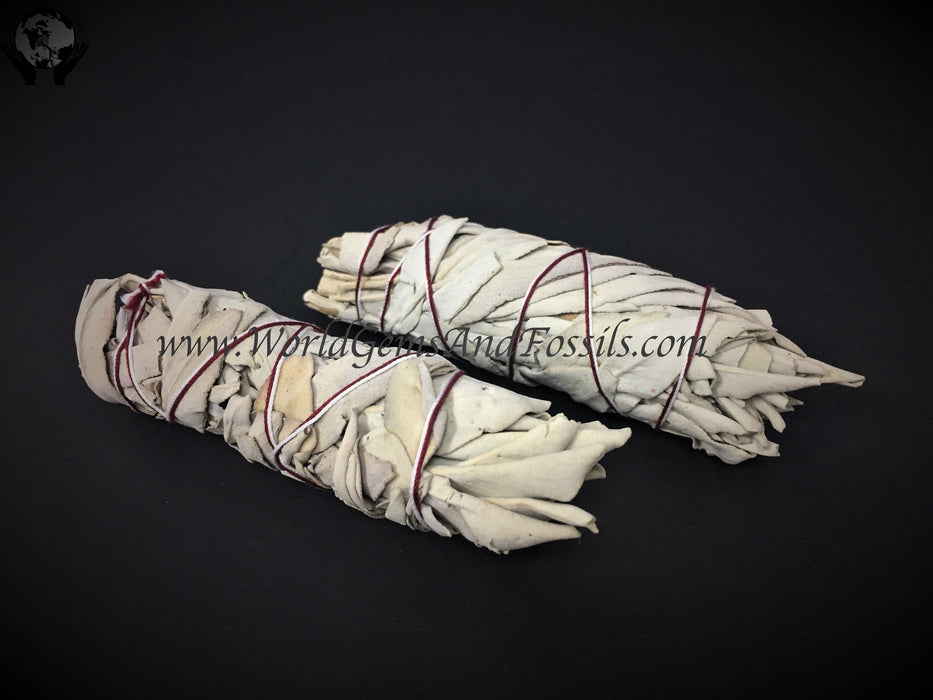 California White Sage 4.5"-5"