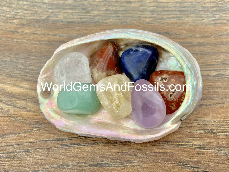 Chakra Tumbled Stone Abalone Shell Set