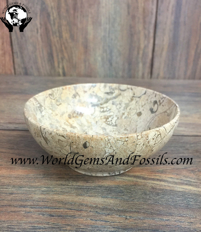 Fossil Bowls 4"