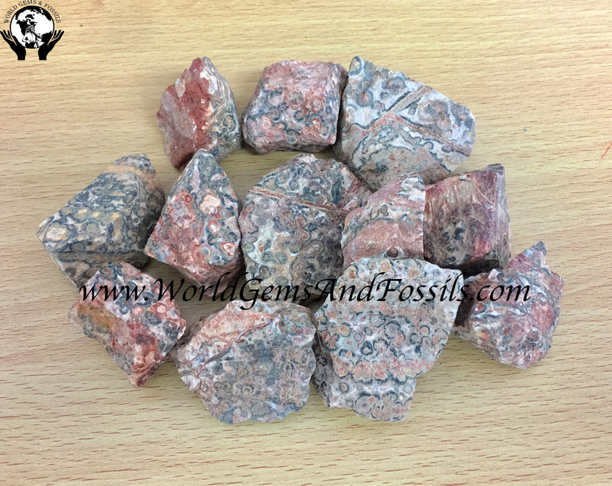 Leopard Skin Jasper Rough Stones 1 lb