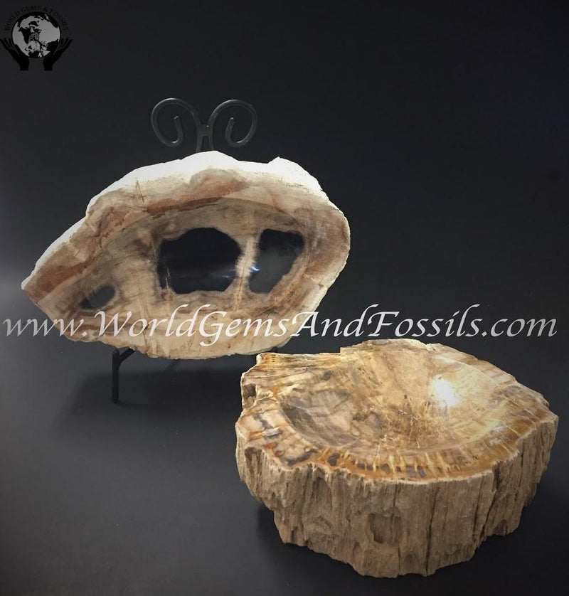 Petrified Wood Bowls