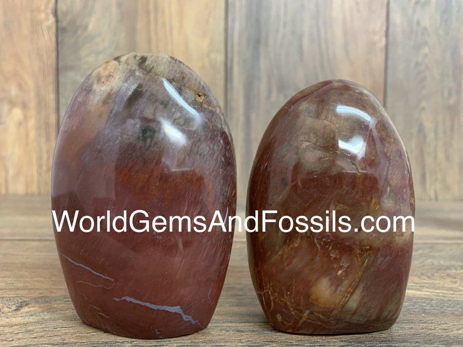 Petrified Wood Free Form #2