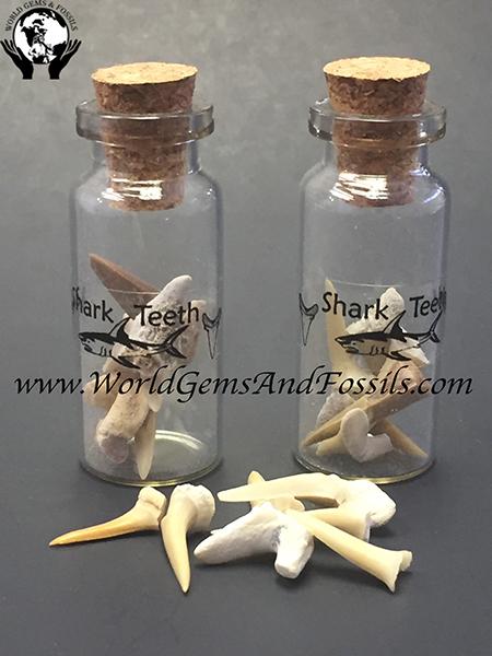 Shark Teeth Bottles
