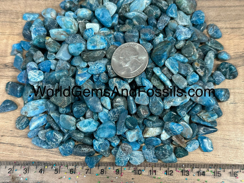 Blue Apatite Chip Stone 7-12mm 1 lb