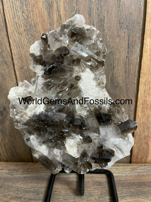 Smoky Quartz Specimen On Stand  9.5”  #3