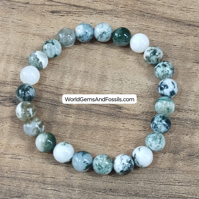 Tree Agate Bracelet 8mm