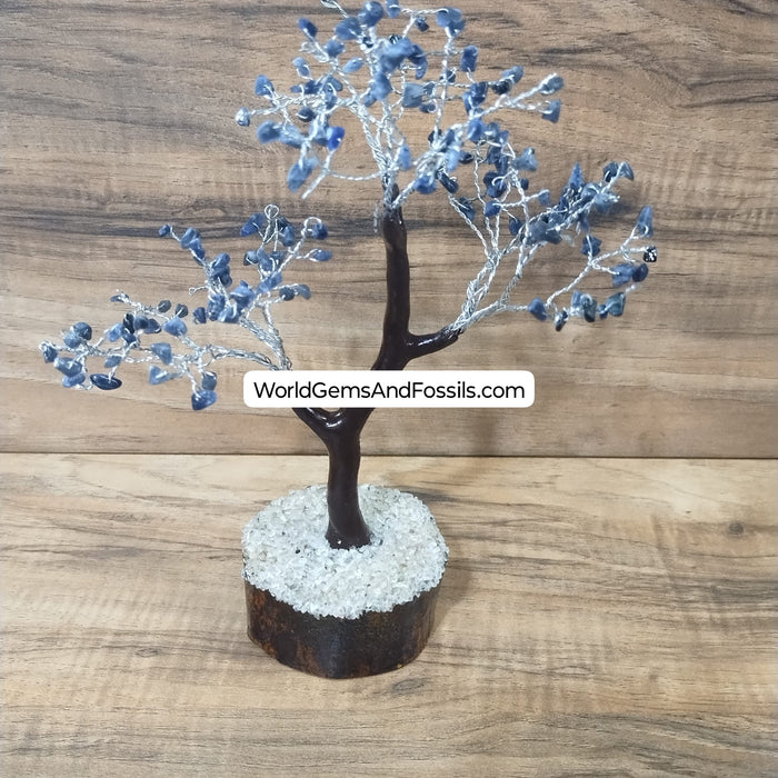 8" Sodalite Gem Tree