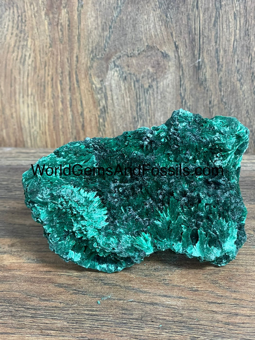 Fibrous Malachite Specimen 4”  #1