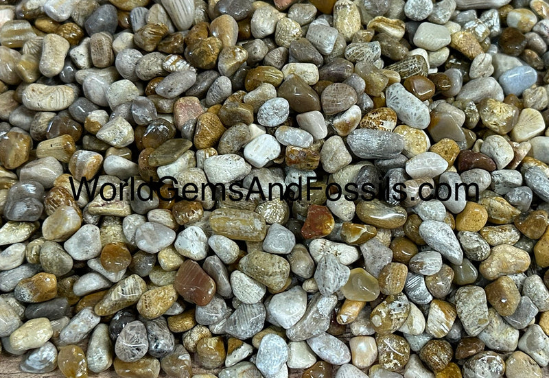 Coral Jade Chip Stones 7-10mm 1 lb