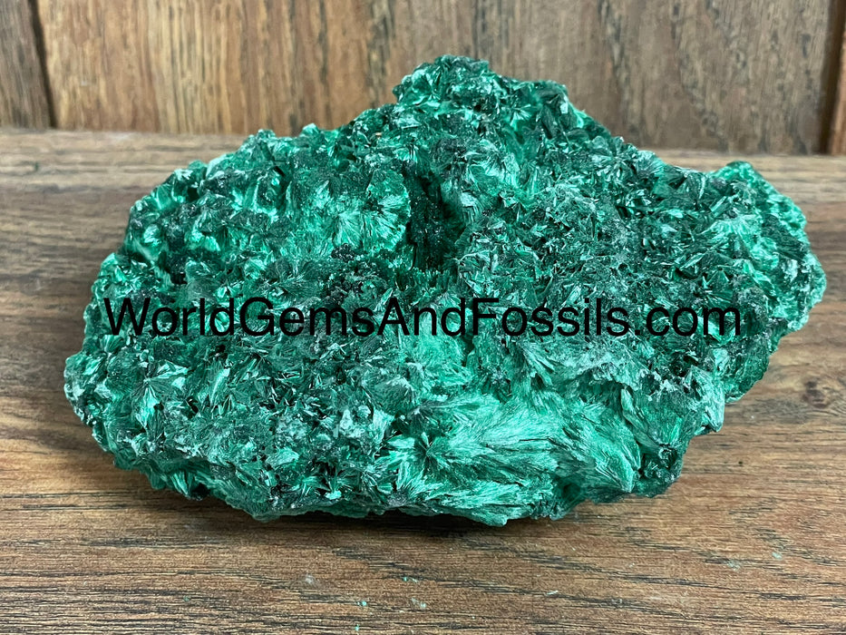 Fibrous Malachite Specimen 5”  #4