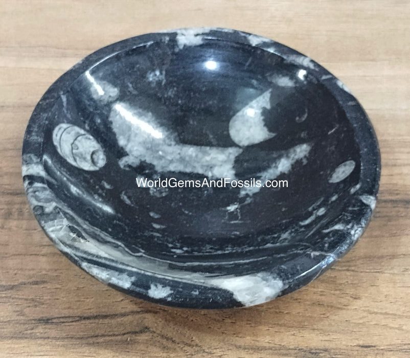 Orthoceras Bowl