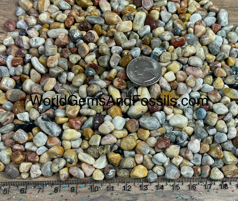 Crazy Lace Agate Chip Stones 7-10mm 1lb