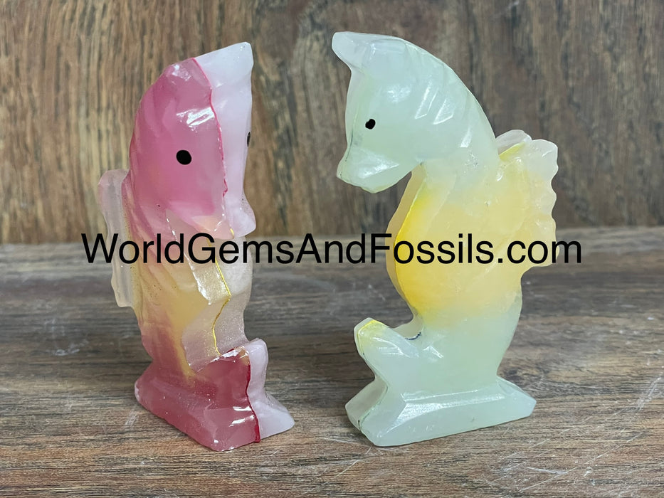 Onyx Seahorse Rainbow