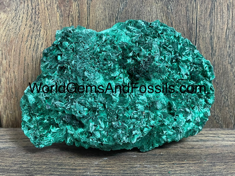 Fibrous Malachite Specimen 5”  #4