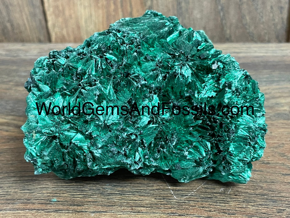 Fibrous Malachite Specimen 4”  #8