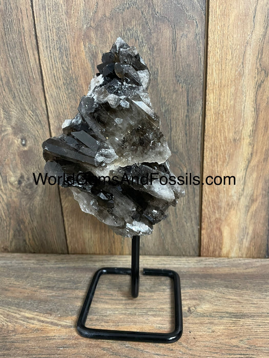 Smoky Quartz Specimen On Stand  9.5”  #5