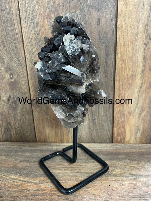 Smoky Quartz Specimen On Stand  9.5”  #5