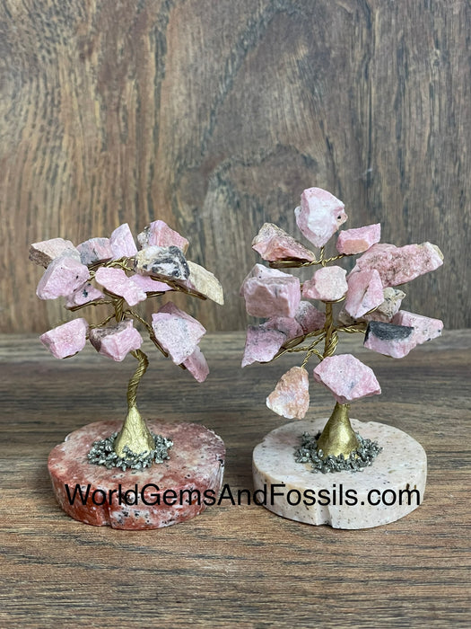 Rhodonite Gem Tree On Onyx Base