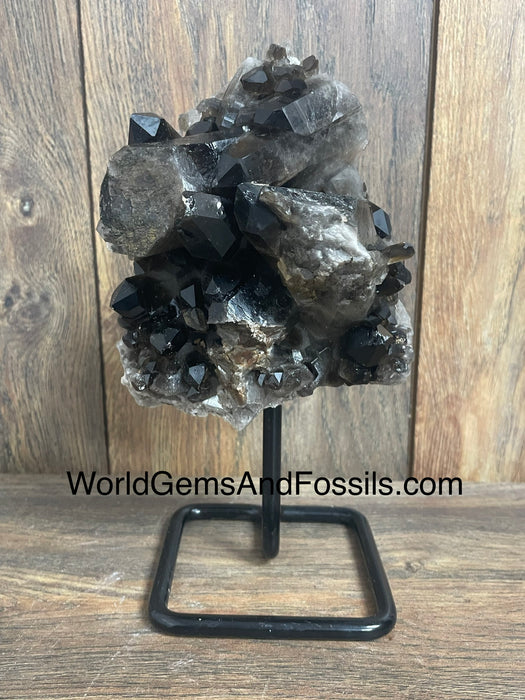 Smoky Quartz Specimen On Stand  8.5”  #1