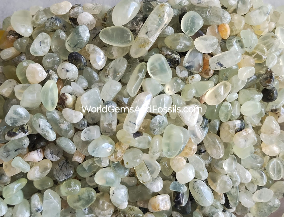 Prehnite Chip Stones 6-9mm 1 lb