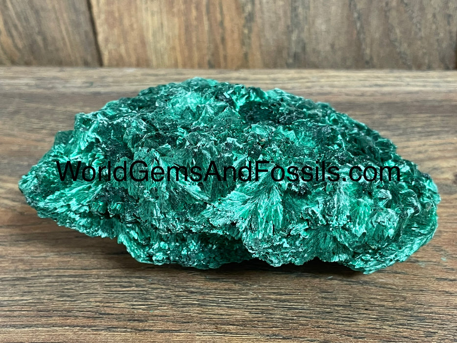 Fibrous Malachite Specimen 5”  #4