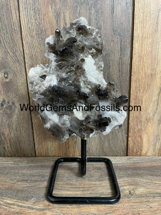 Smoky Quartz Specimen On Stand  9.5”  #3