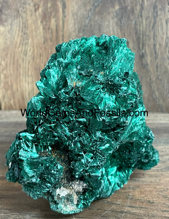 Fibrous Malachite Specimen 4”  #8