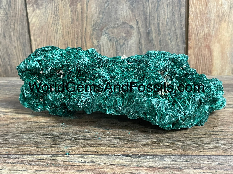 Fibrous Malachite Specimen 6.5”  #5