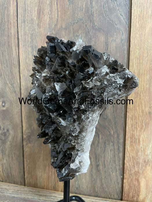 Smoky Quartz Specimen On Stand  9.5”  #10