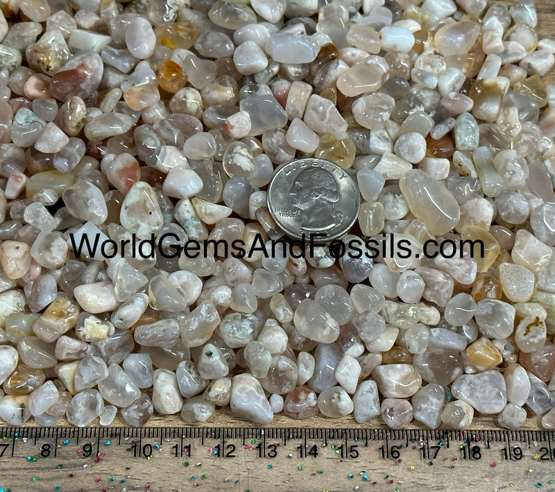 Flower Agate Chip Stones 7-12mm 1lb