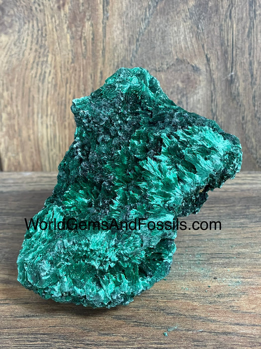 Fibrous Malachite Specimen 4”  #1