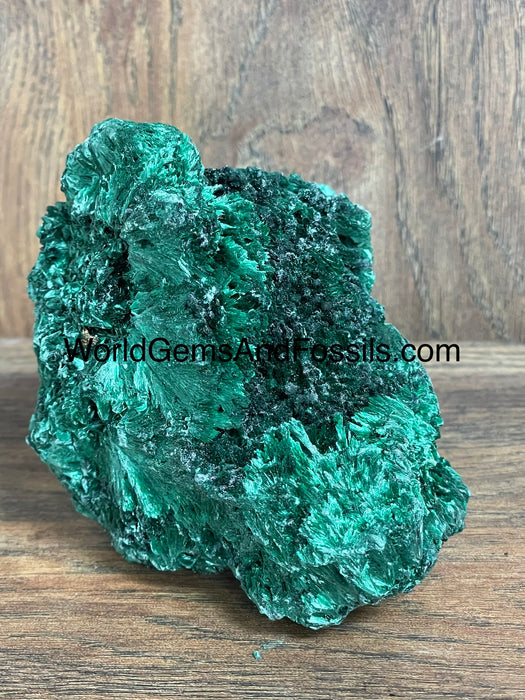 Fibrous Malachite Specimen 4”  #1