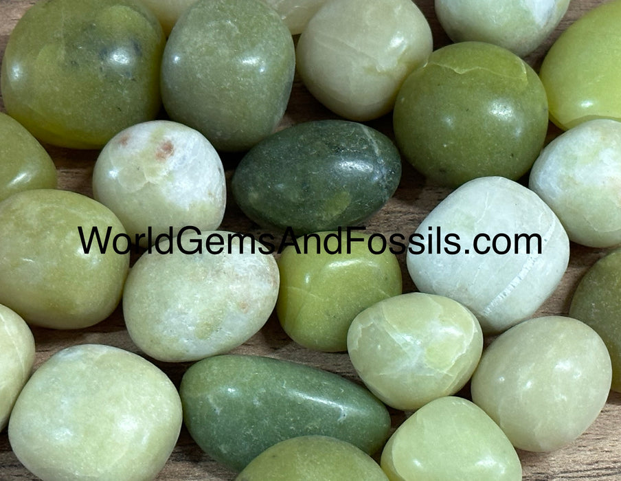 Serpentine Tumbled Stone 1lb