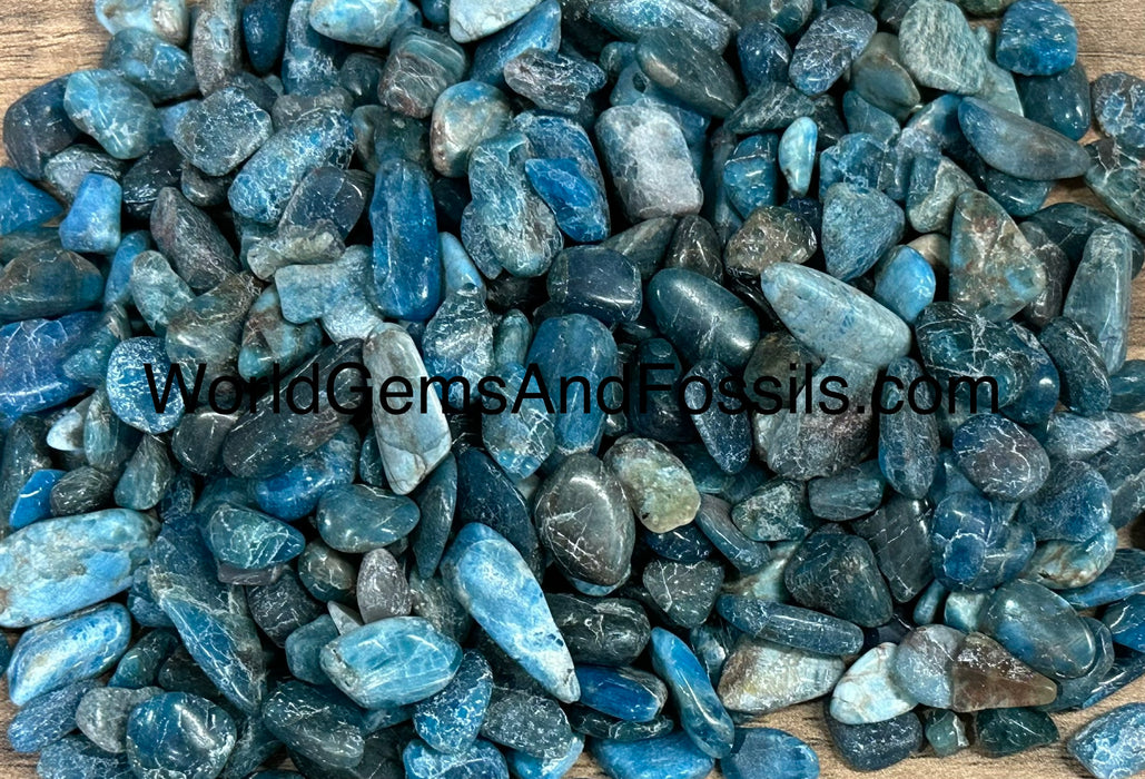 Blue Apatite Chip Stone 7-12mm 1 lb