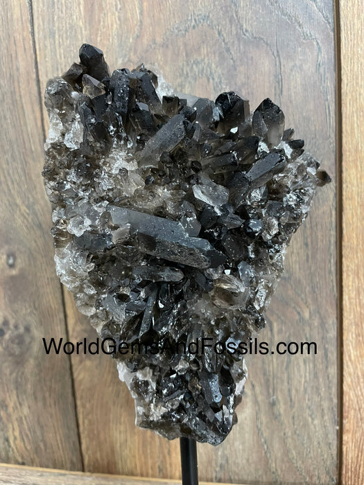 Smoky Quartz Specimen On Stand  9.5”  #10