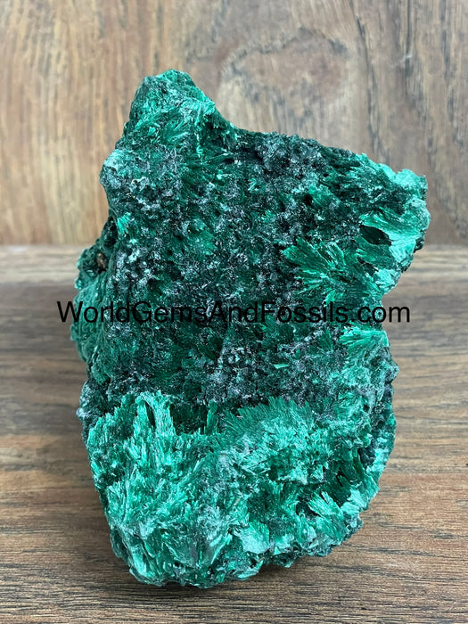 Fibrous Malachite Specimen 4”  #1