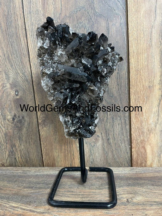 Smoky Quartz Specimen On Stand  9.5”  #10