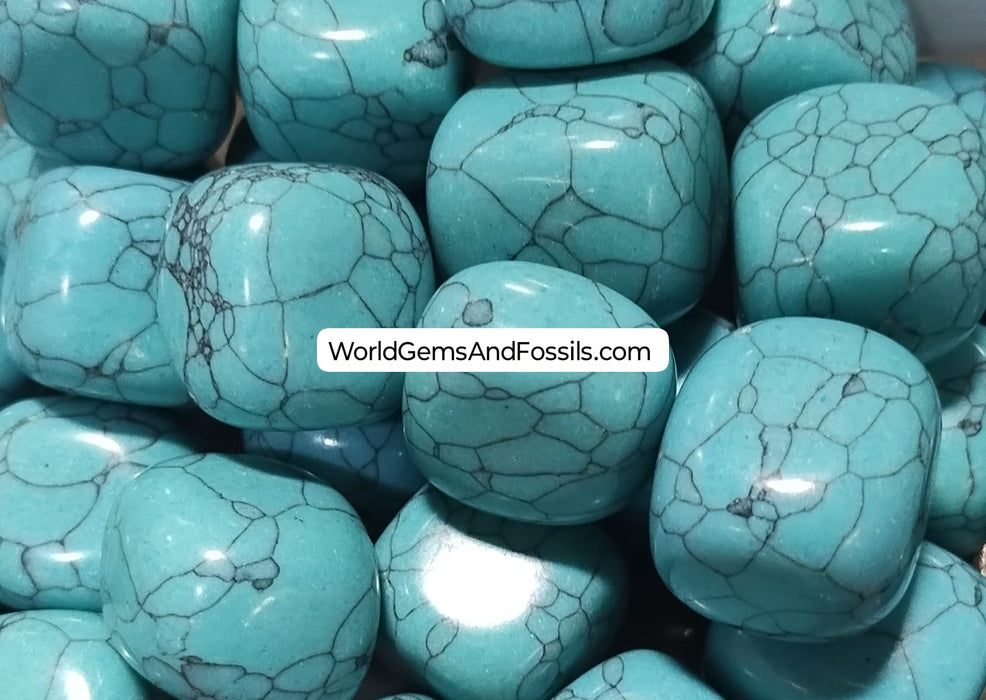 Turquoise Howlite Tumbled Stone 1 lb