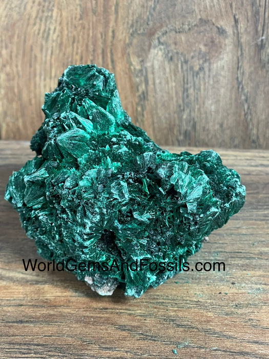 Fibrous Malachite Specimen 3.5”  #2