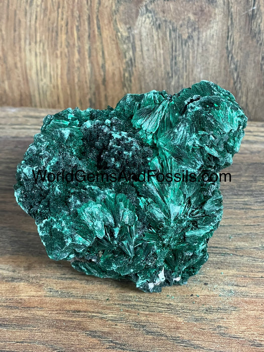 Fibrous Malachite Specimen 3.5”  #2