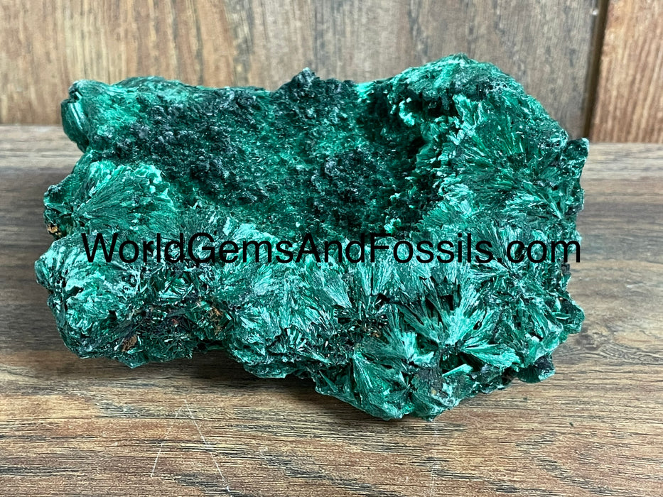 Fibrous Malachite Specimen 4.5”  #7