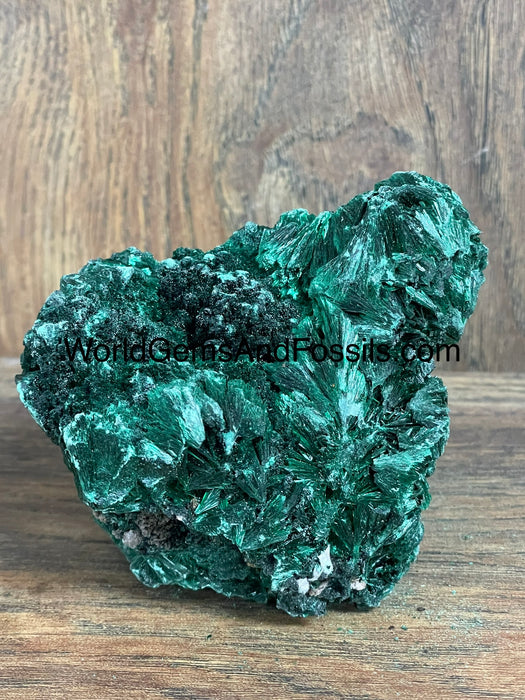 Fibrous Malachite Specimen 3.5”  #2