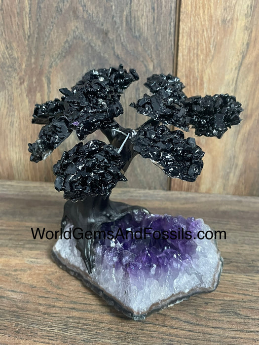 Black Tourmaline Tree On Amethyst Base #3