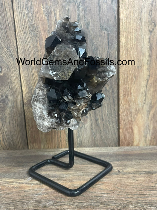 Smoky Quartz Specimen On Stand  8.5”  #1